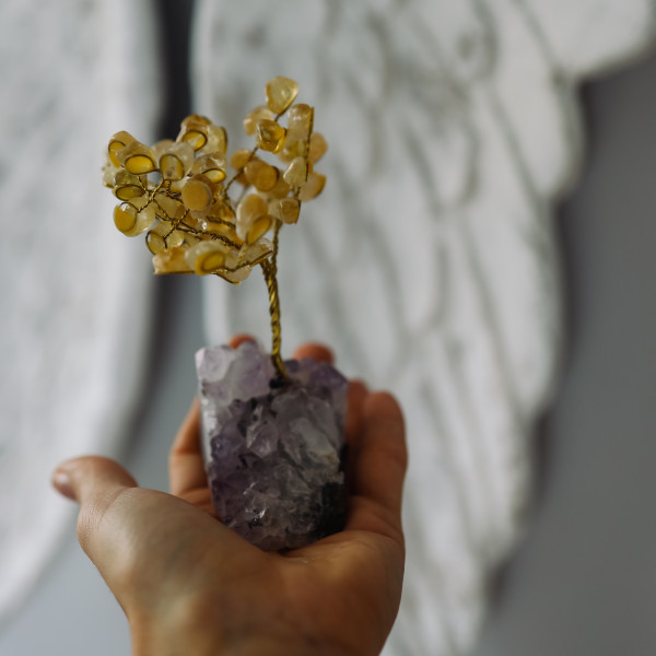 Drzewko szczęścia z Cytrynem