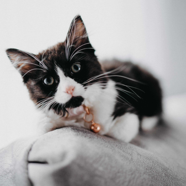 Tu i Teraz – siła chwili